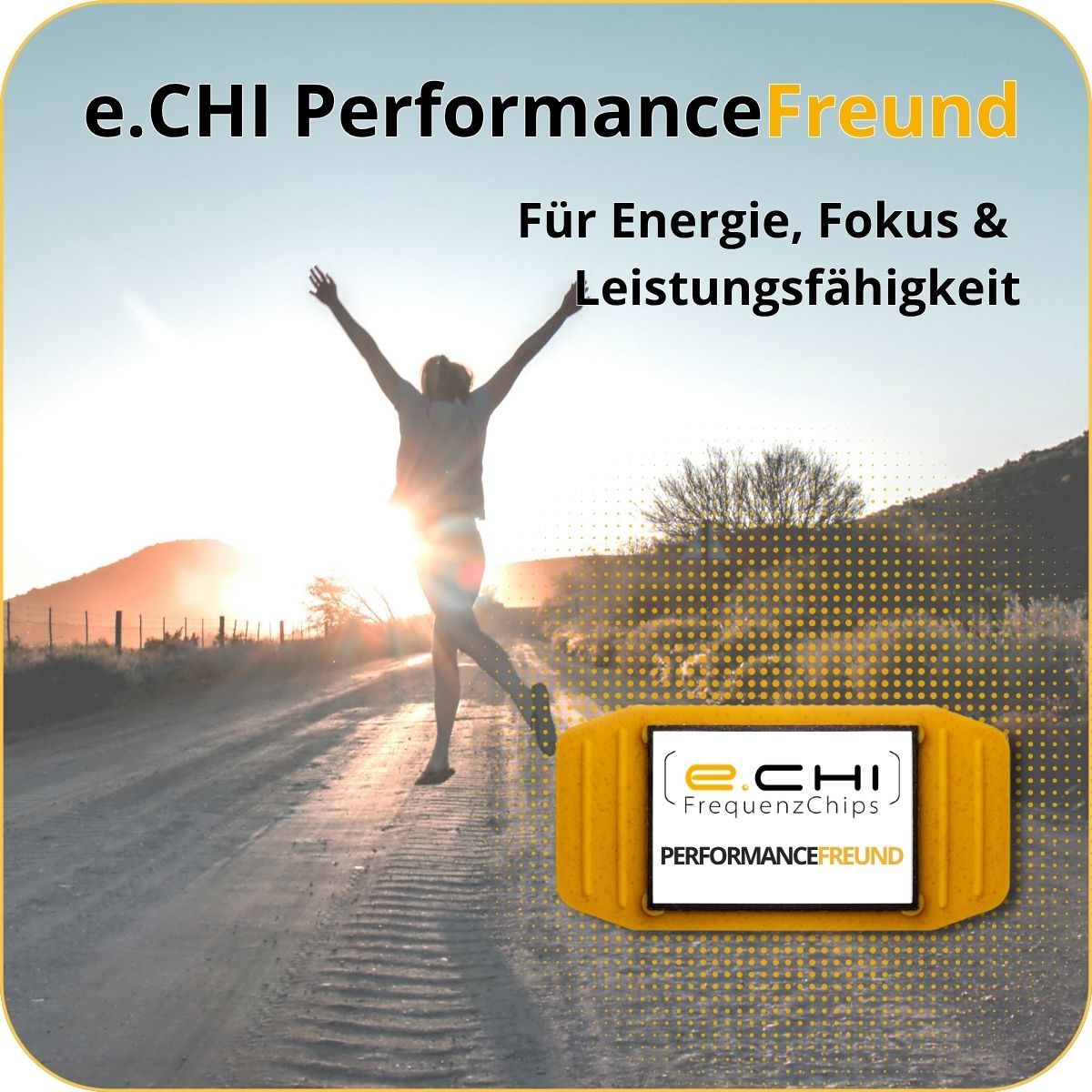PerformanceFreund