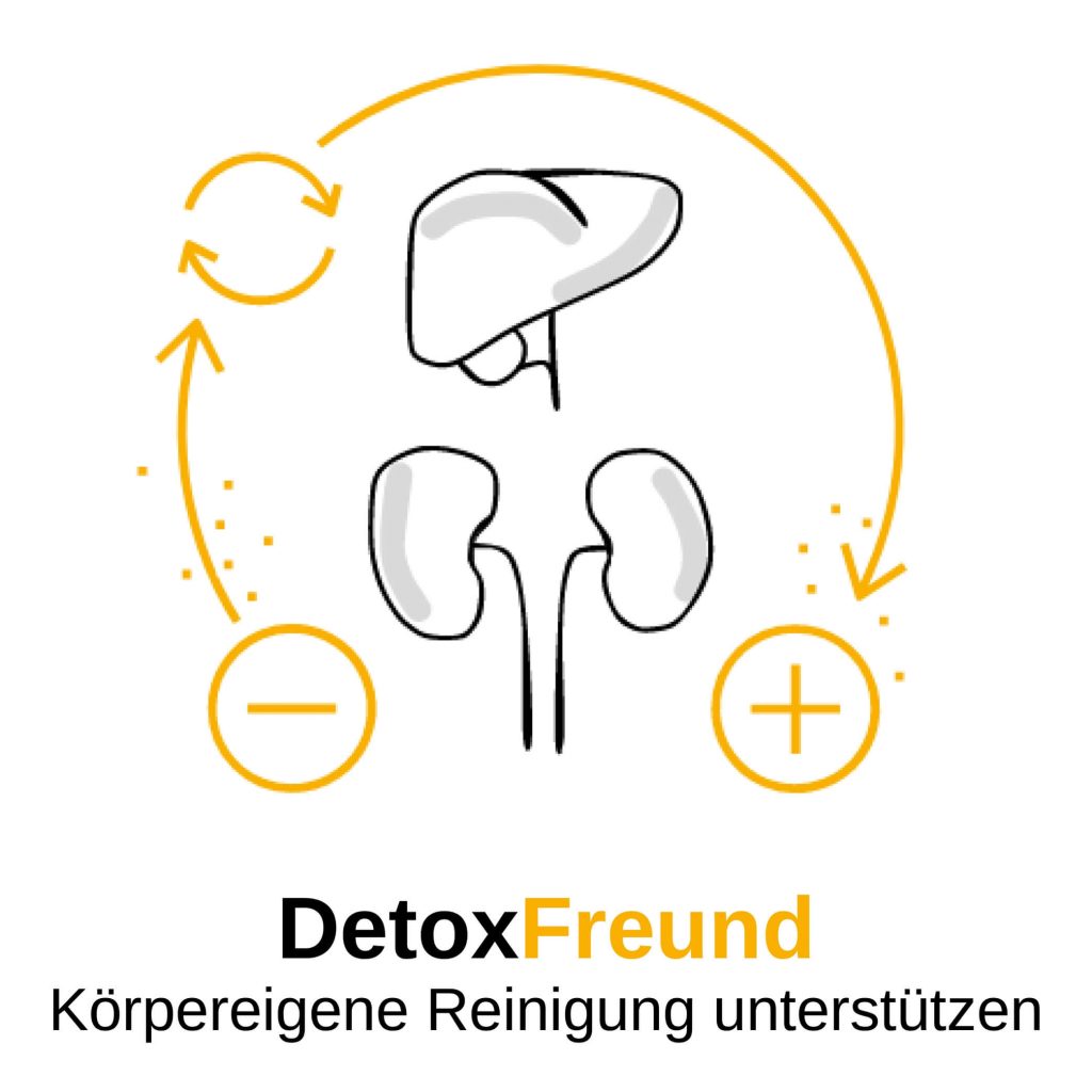 DetoxFreund