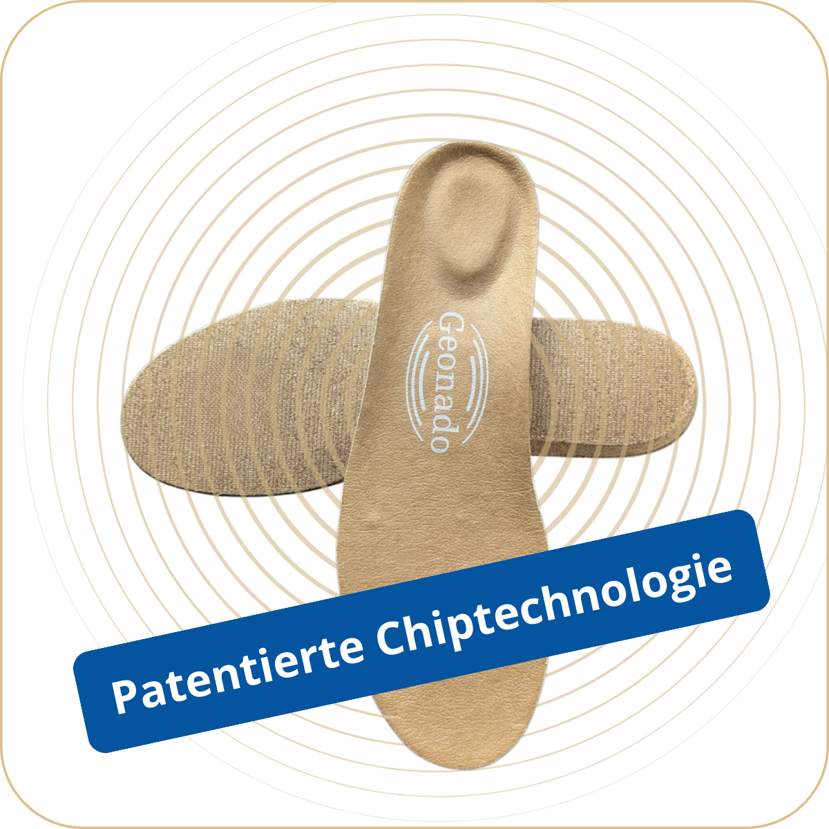 BASIS Schutz für Unterwegs